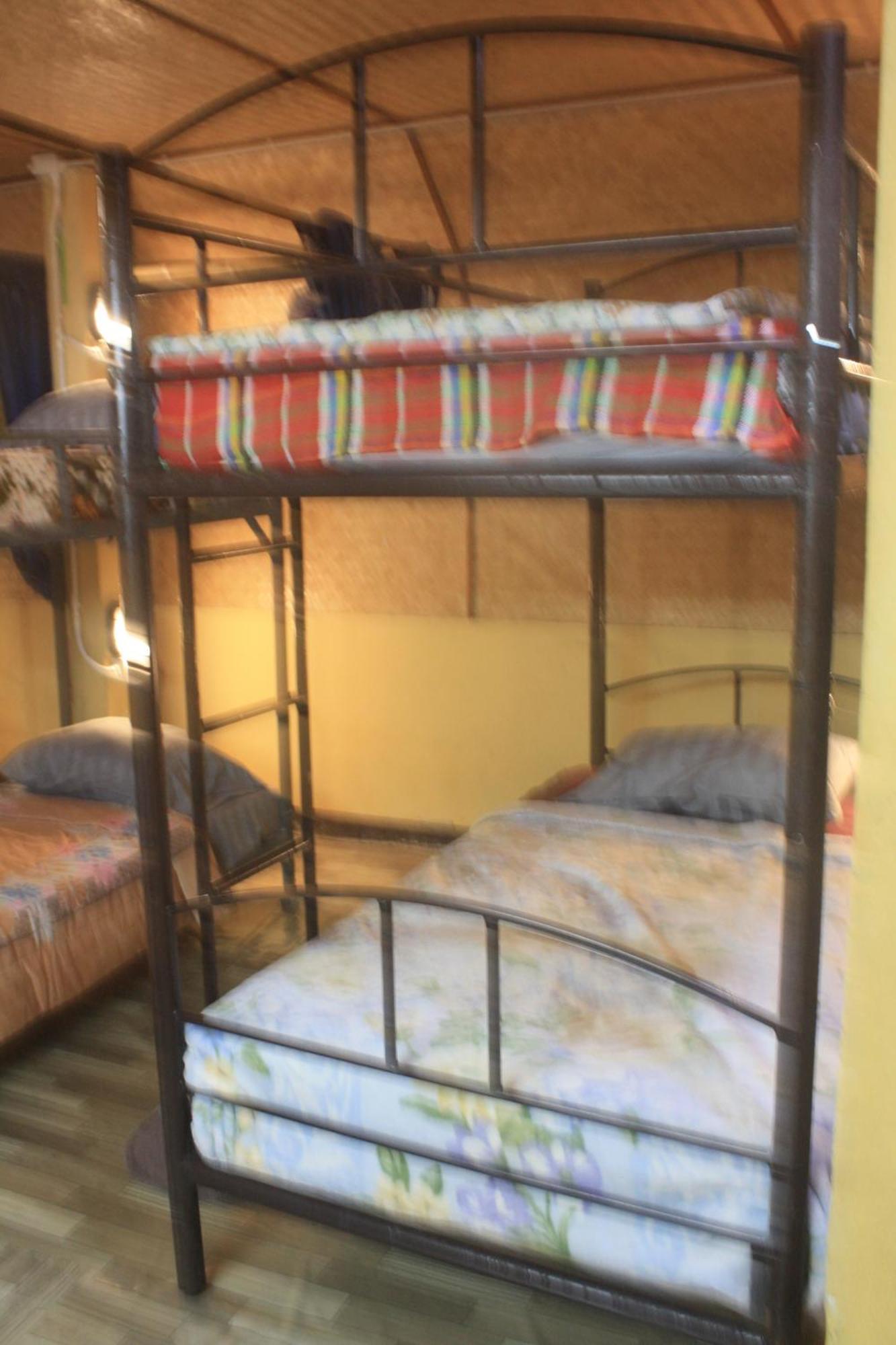 Homestay Tiny *