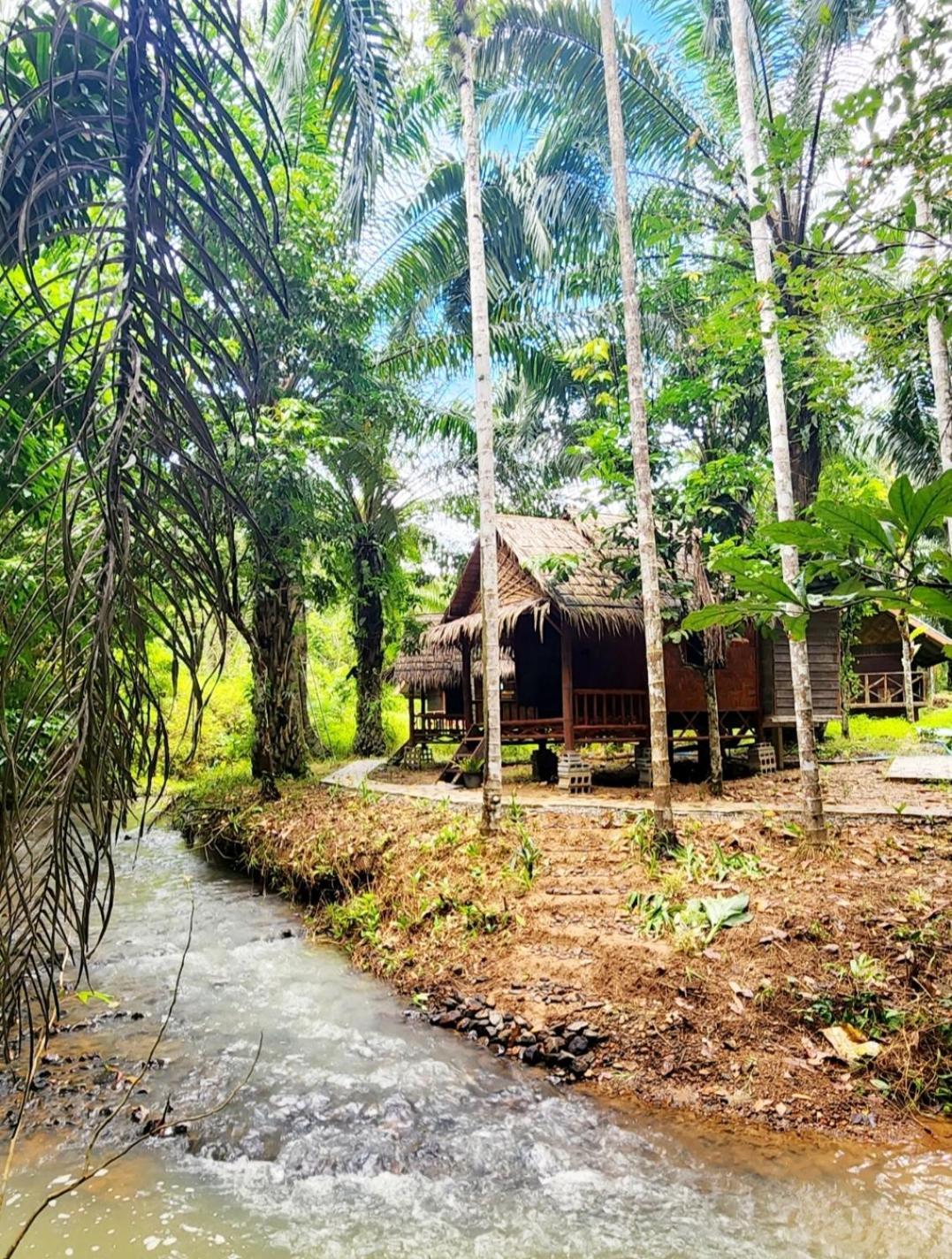 Khao Sok Silver Cliff Resort