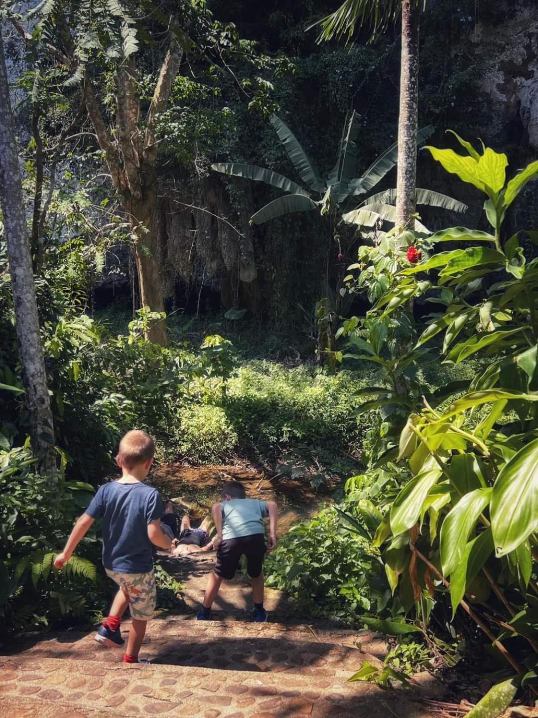 Khao Sok Silver Cliff Resort 2*