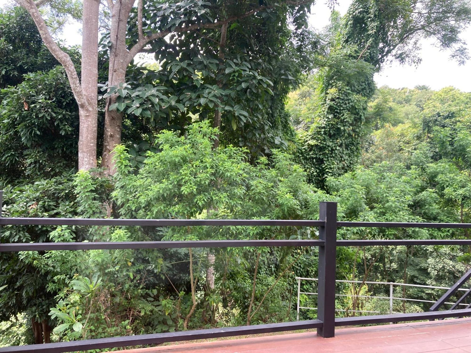 Maesa Greenery Hill Sha