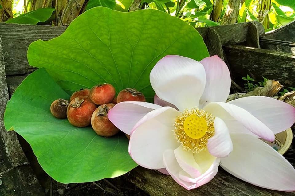 Hotel Ayutthaya Garden River 3*
