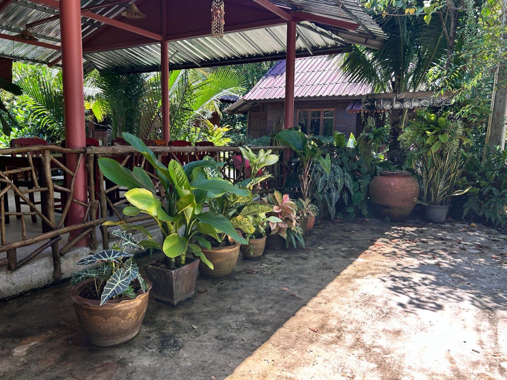 Suchanaree@laemngop Resort Trat