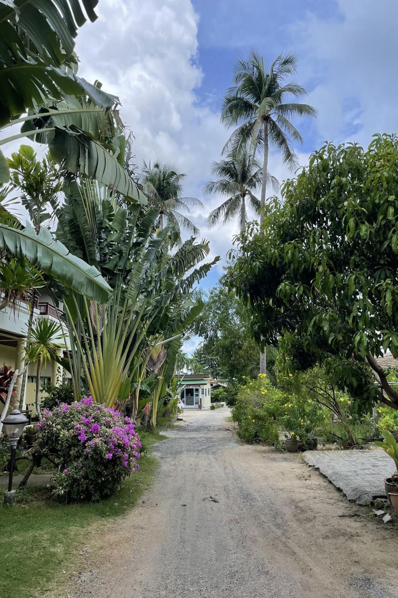 Sea Breeze 2* Lamai Beach (Koh Samui)