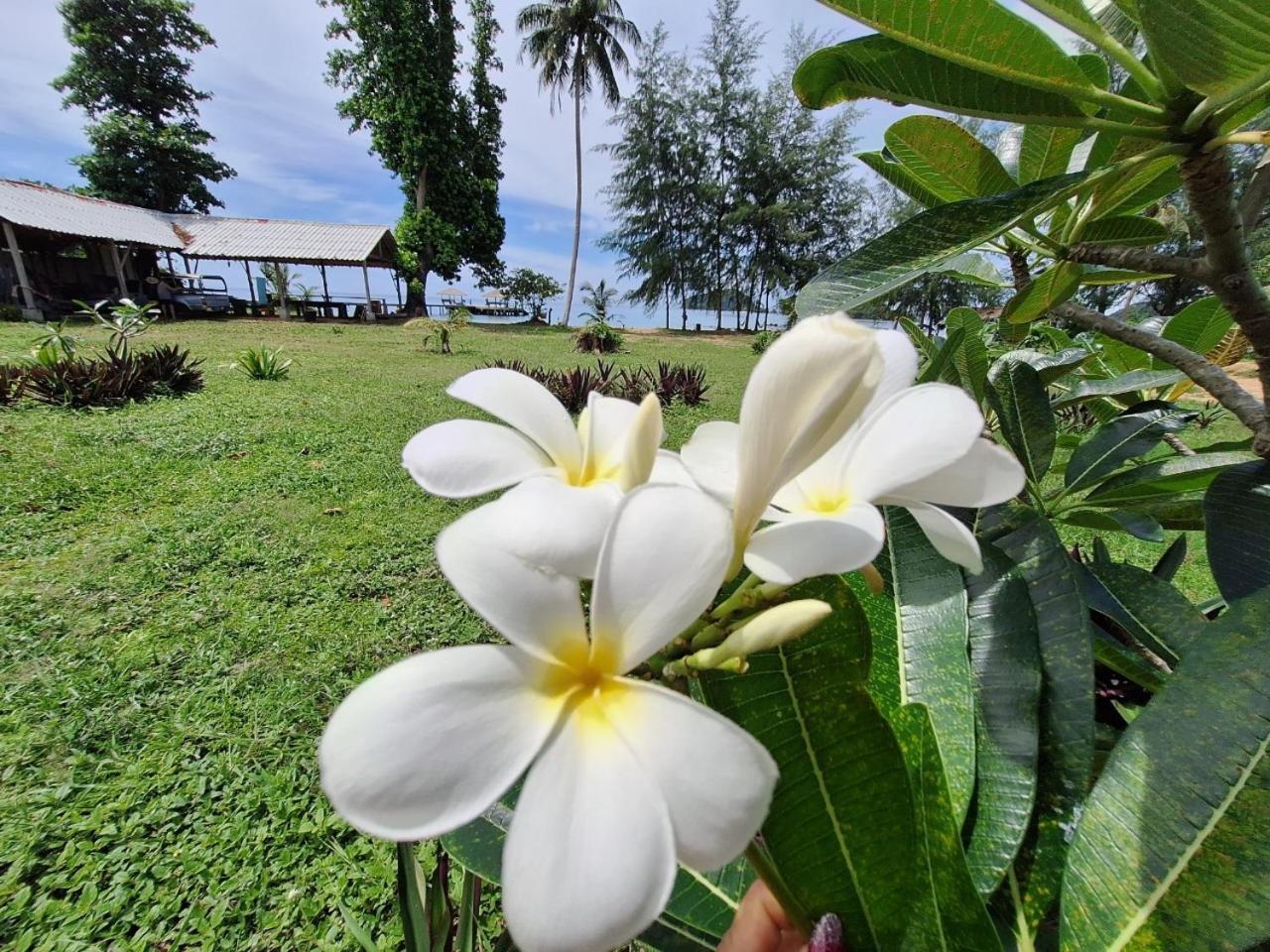 Miss Resort Koh Mak