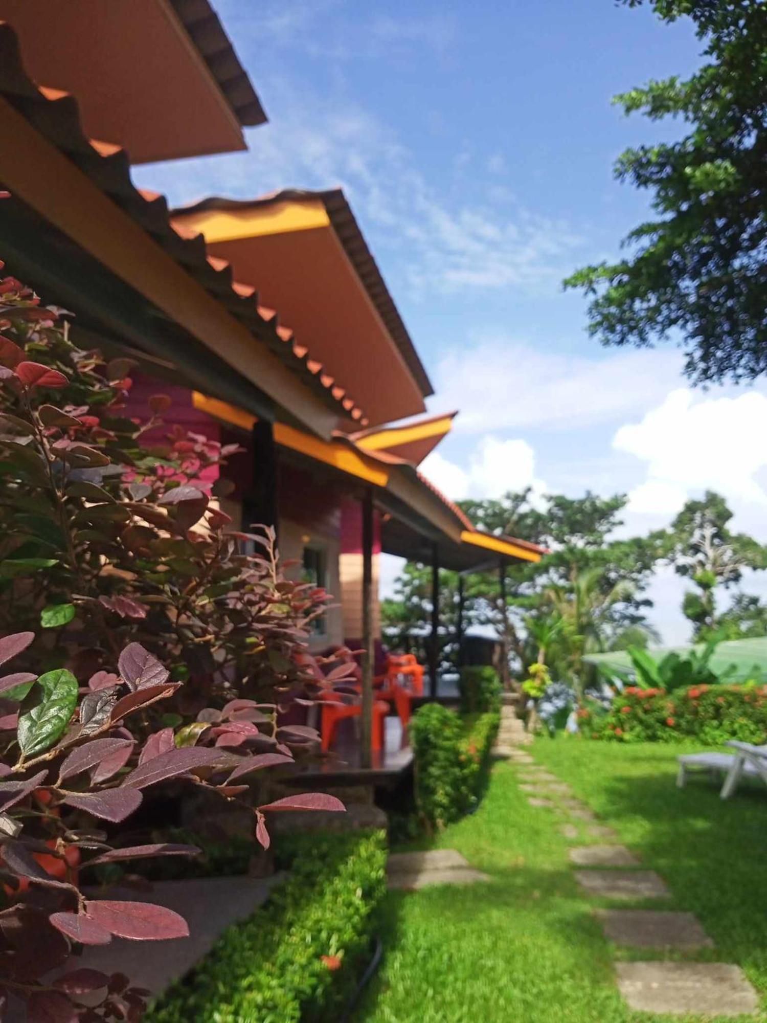 Guest house Cliff View