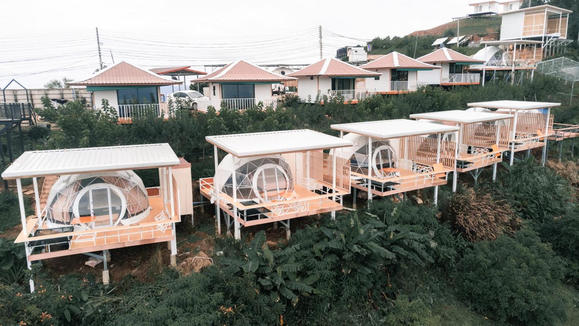 ม่อนชาพาเพลิน ม่อนแจ่ม Monchapaplearn Monjam Homestay Mon Jam