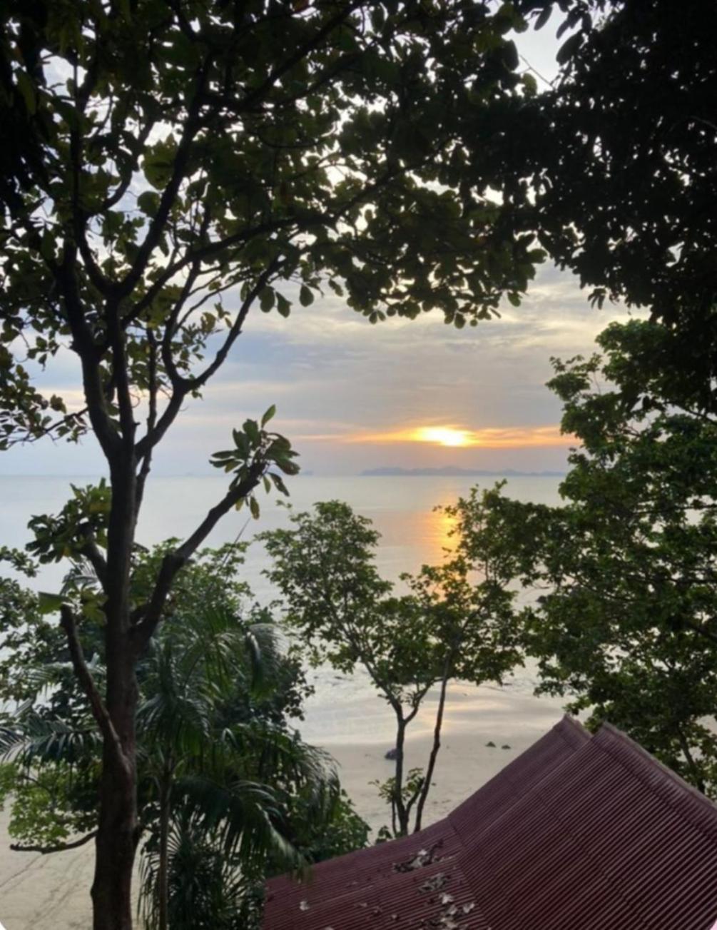 Jungle Hill Guest house