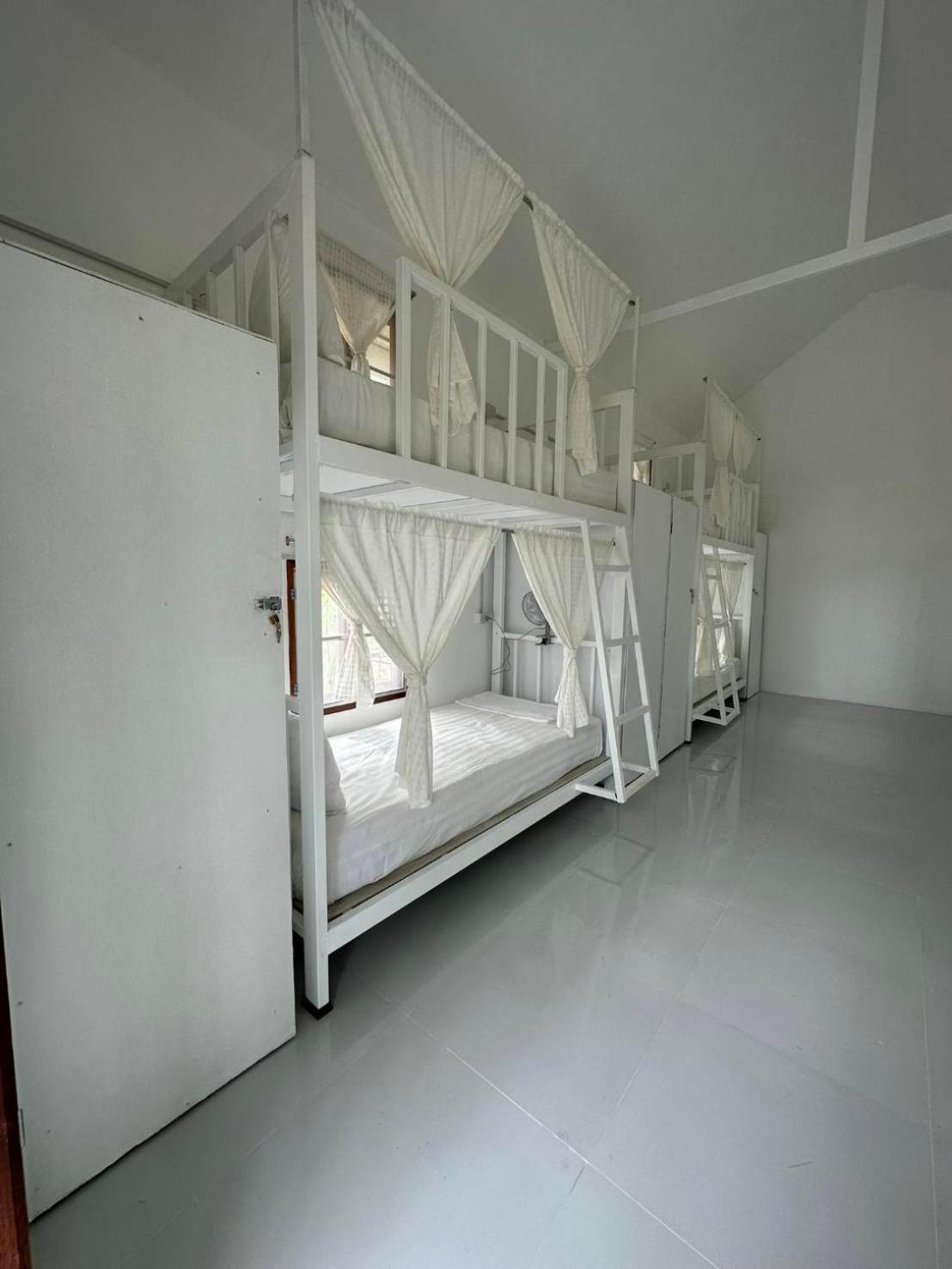 Resort Rabbit 2*