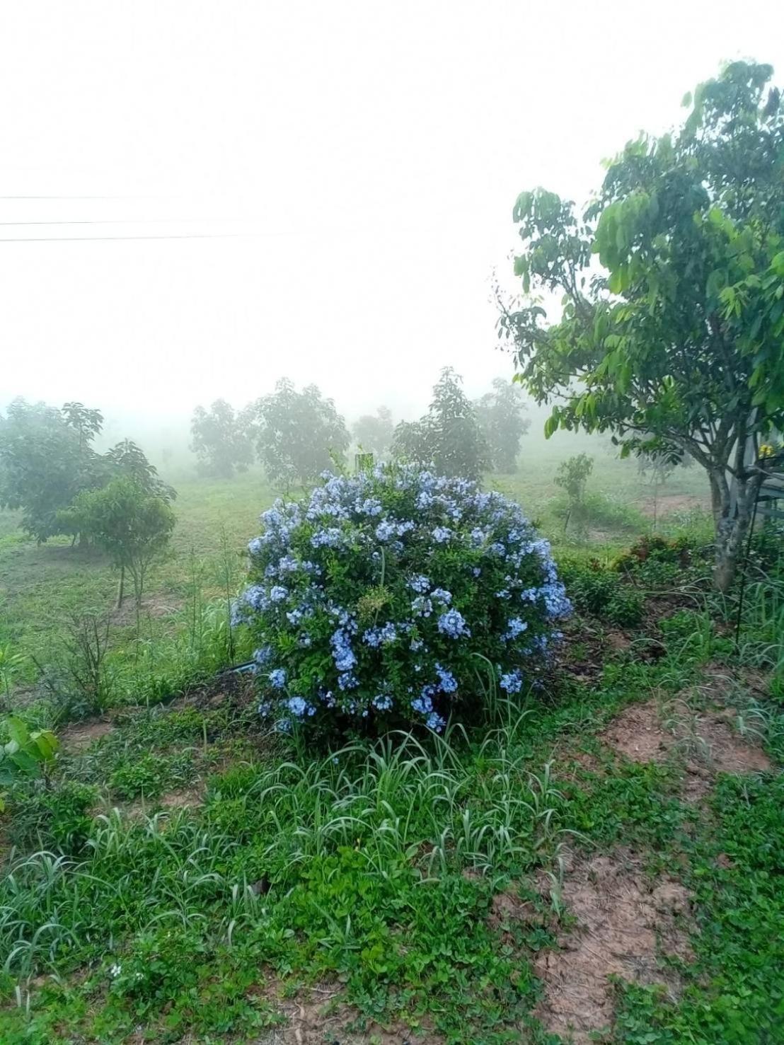 Phu Aram Resort *