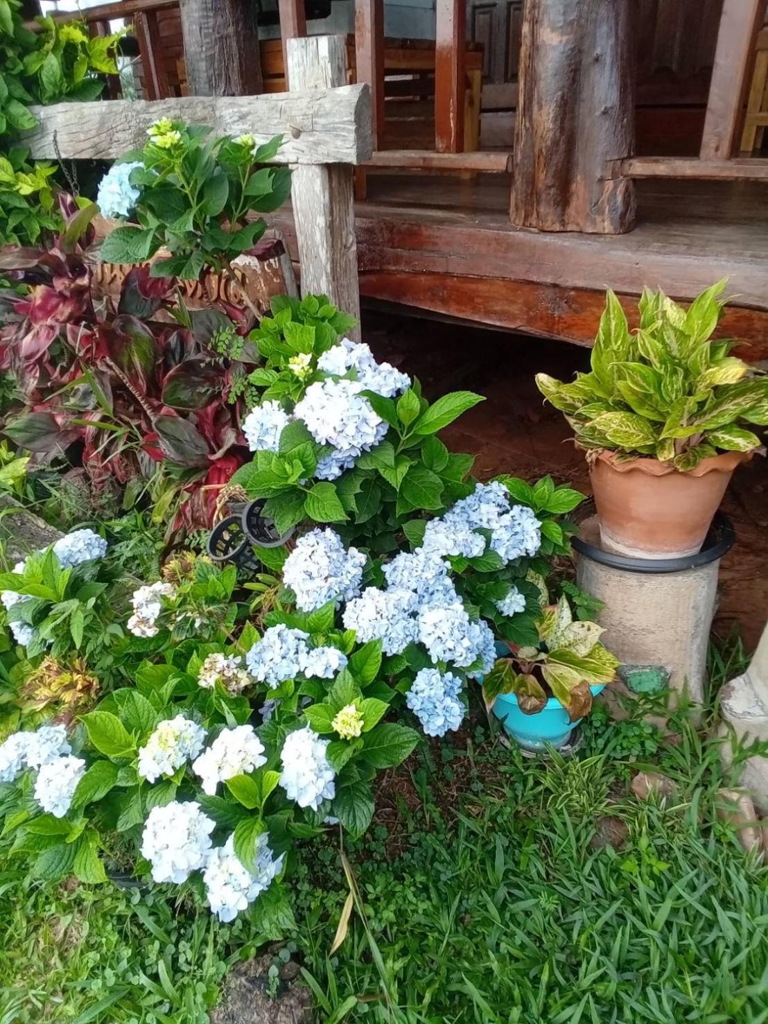 Resort Phu Aram Khao Kho