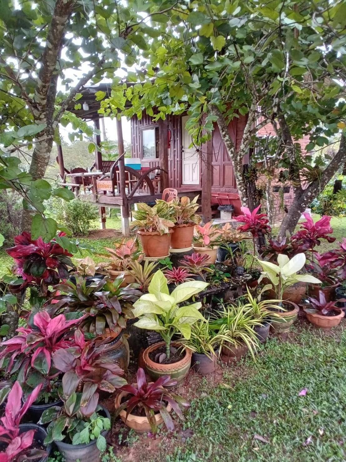 Phu Aram Resort *