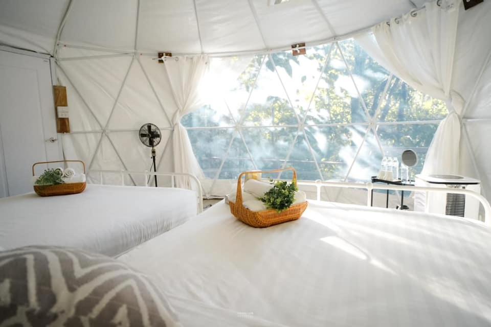 เดอะริเวอร์ แม่กำปอง The River Maekampong Chiang Mai Resort