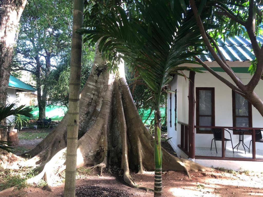 Tropical Paradise Leelawadee Resort Koh Chang