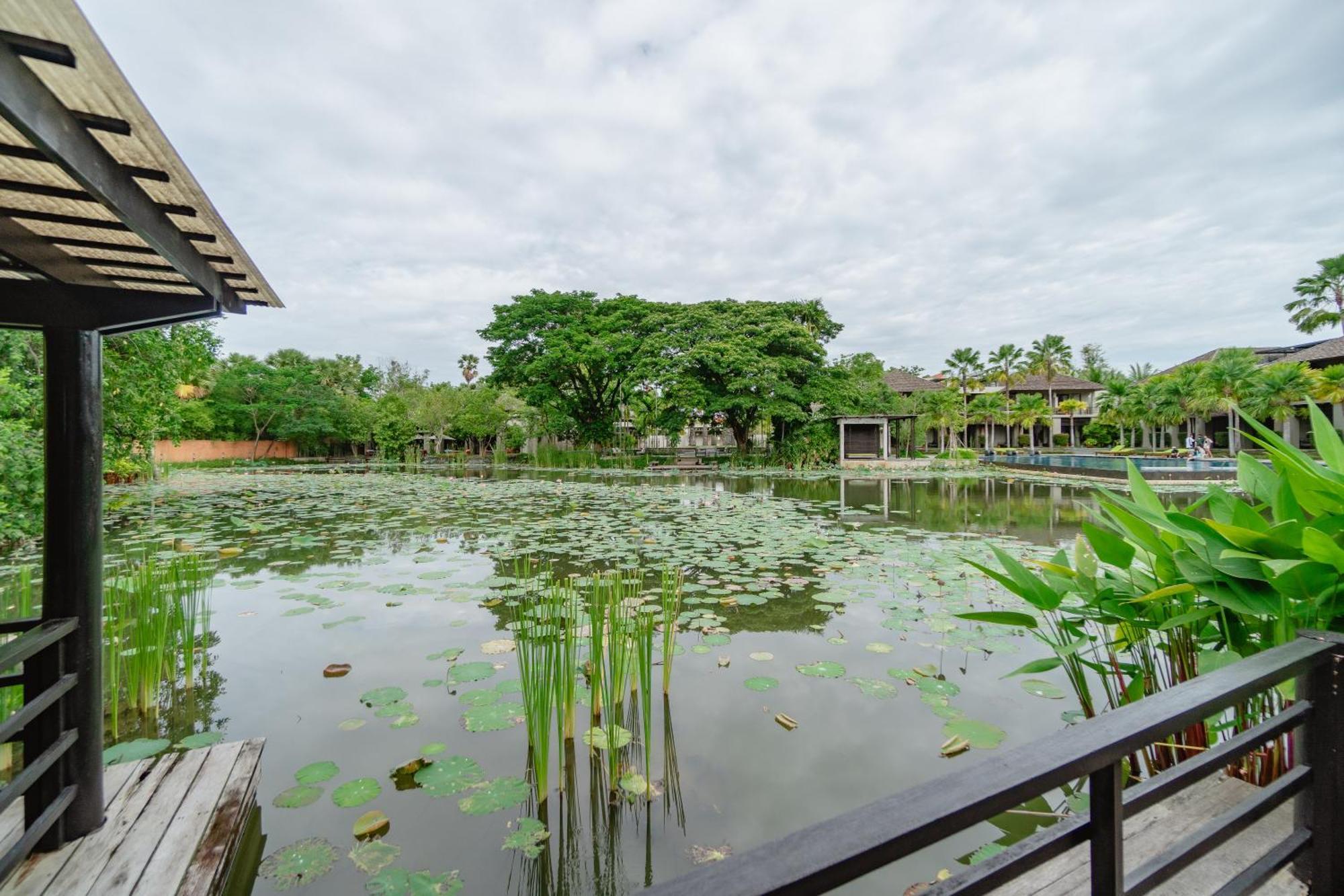 Resort Pattara &