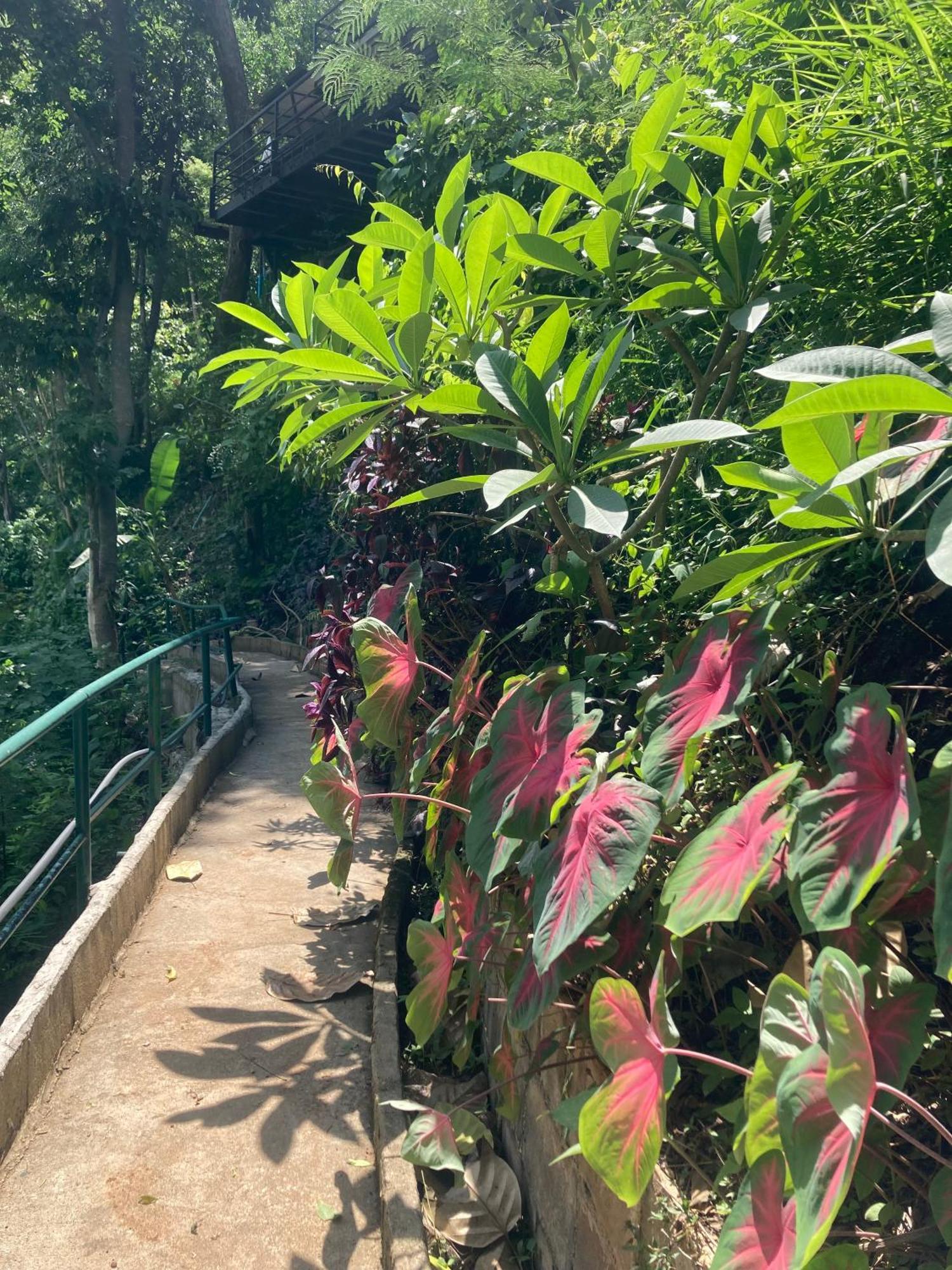 Maesa Greenery Hill Sha Bed & Breakfast