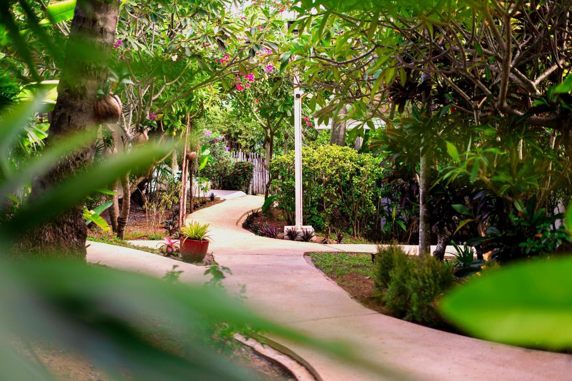 Orchid Samui - * Lamai Beach (Koh Samui)