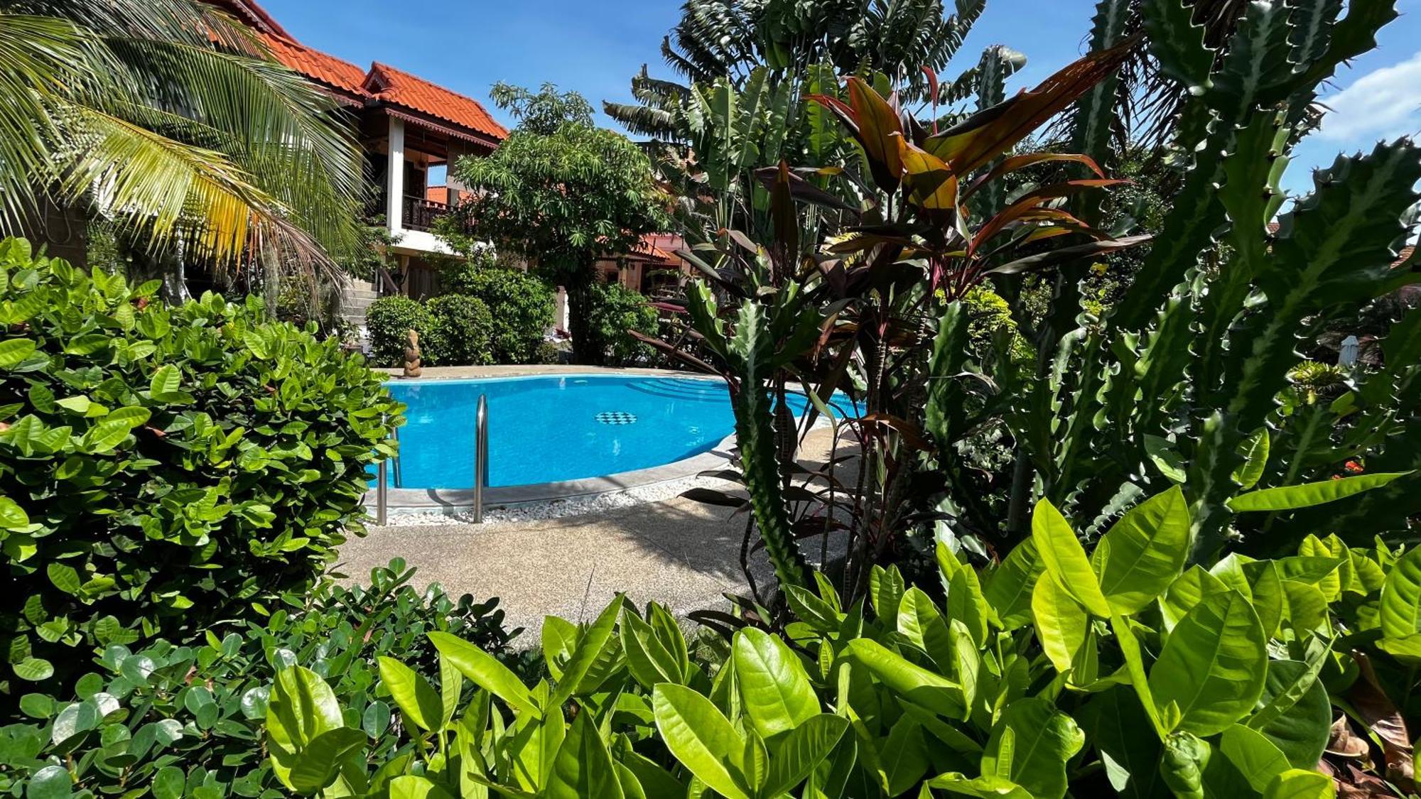 Holiday park Amy Village Garden Lamai Beach (Koh Samui)