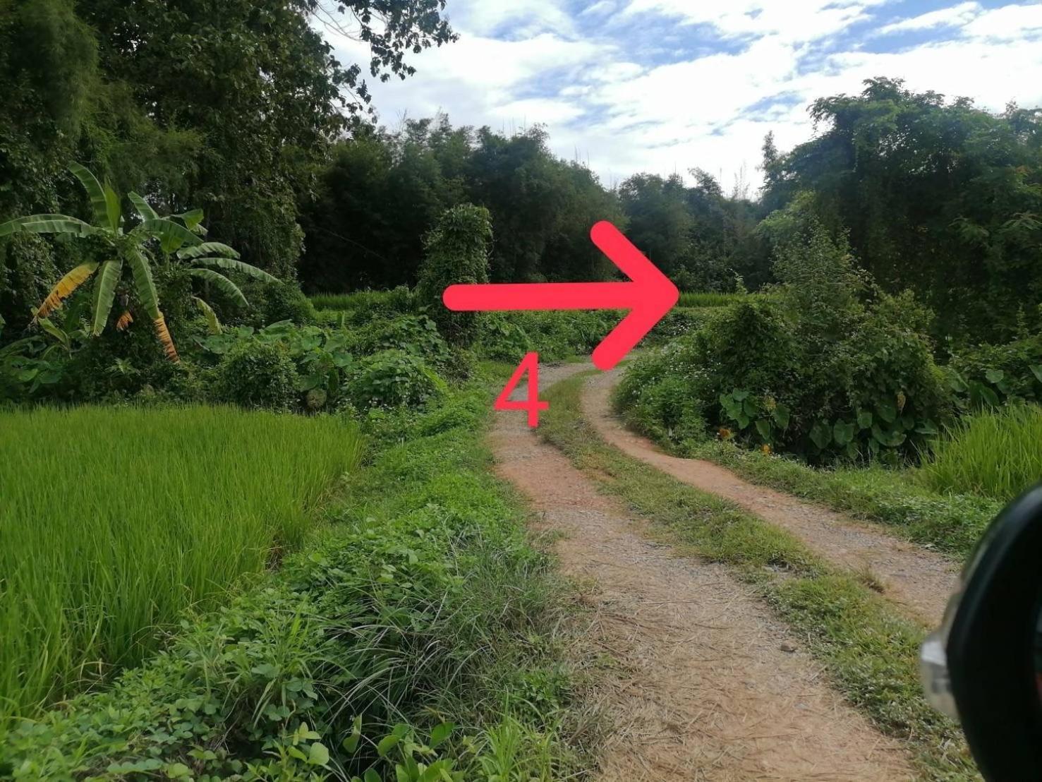 Guest house Na Nan Camping ปัวนาน่านแคมป์ปิ้ง Pua