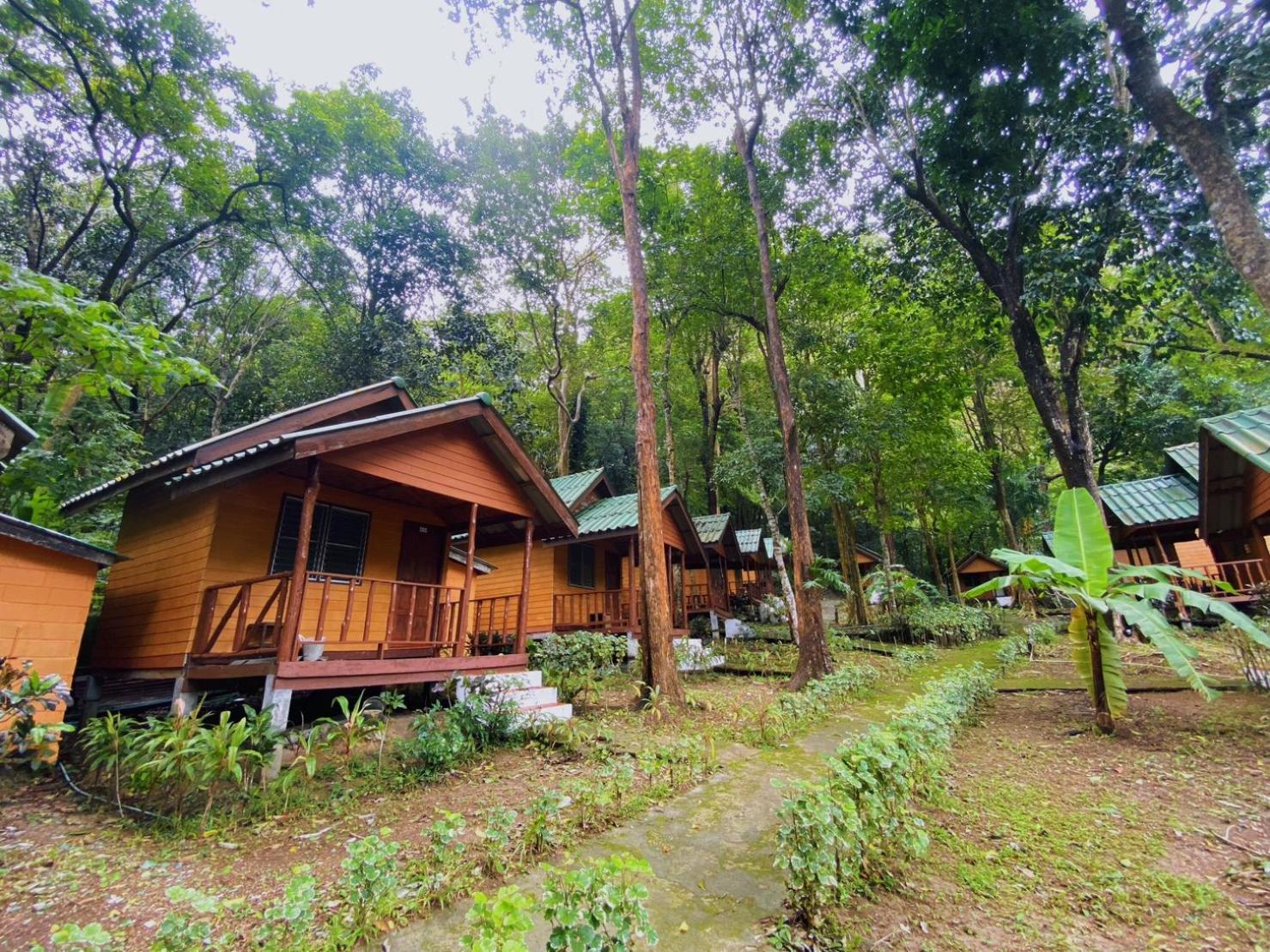 Resort Dream Valley Resort, 3*