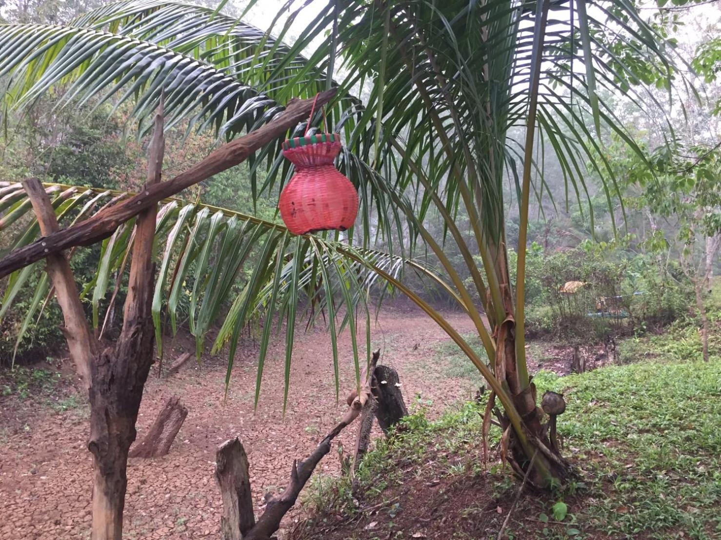 Baansuan Suksangob Farm *