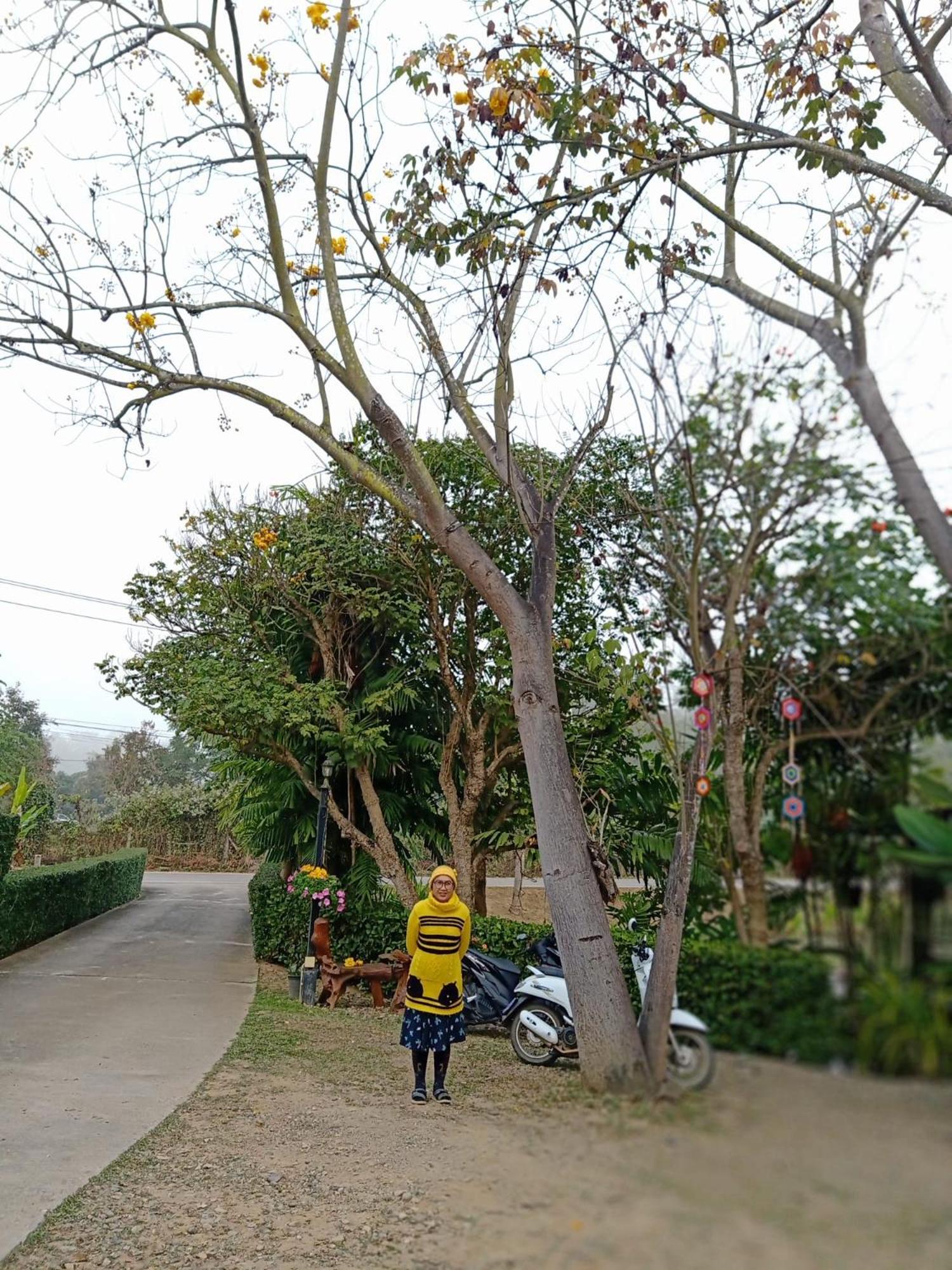 Pura Vida Resort