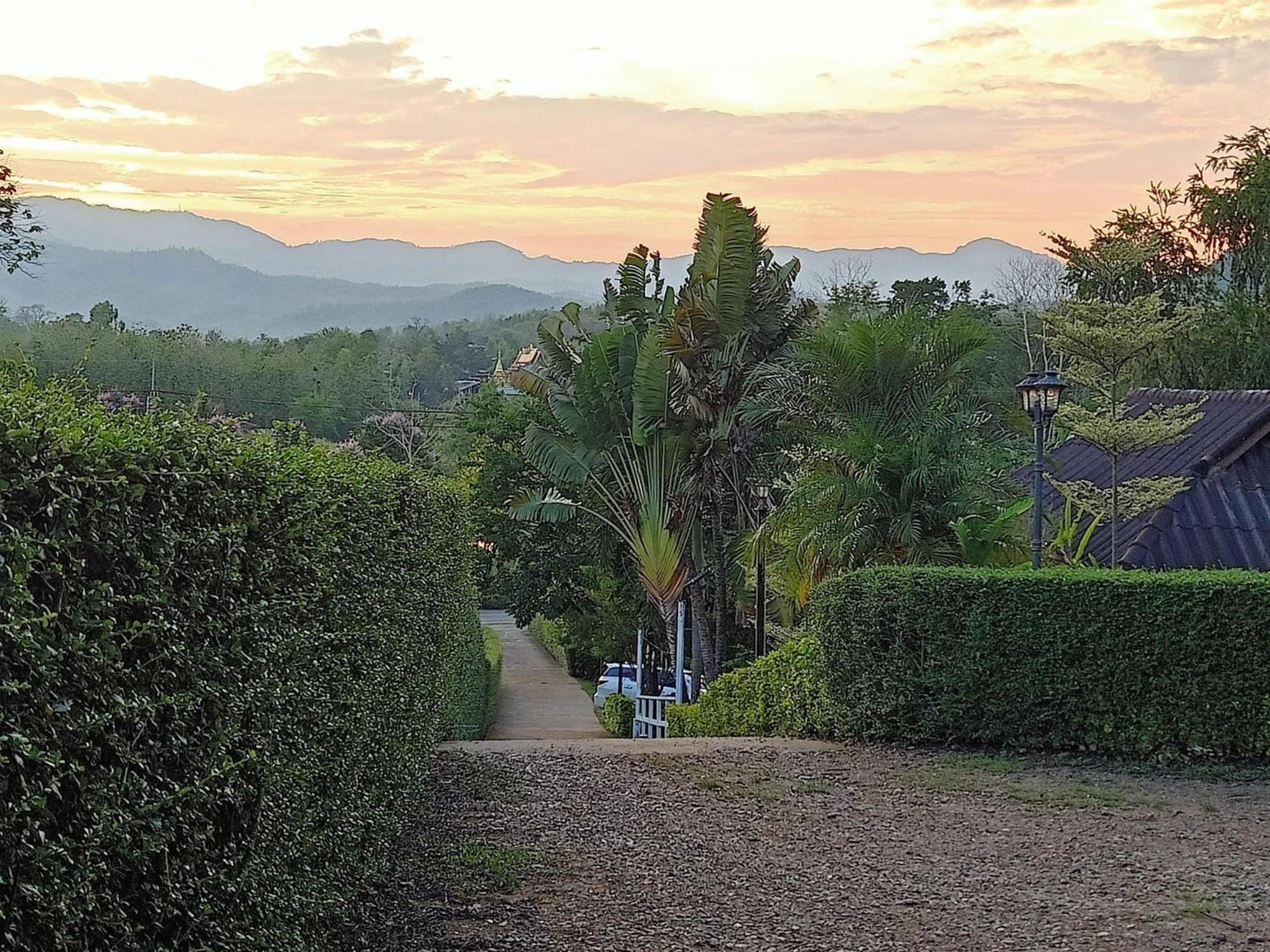 Pura Vida 3*