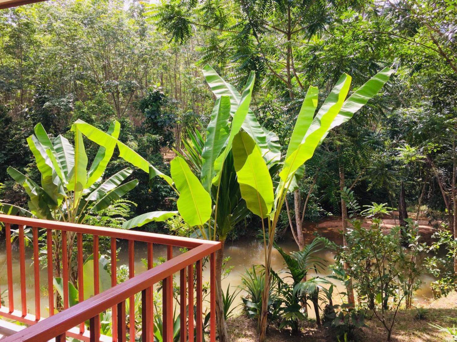 Baansuan Suksangob Farm Estadia no rancho Trang