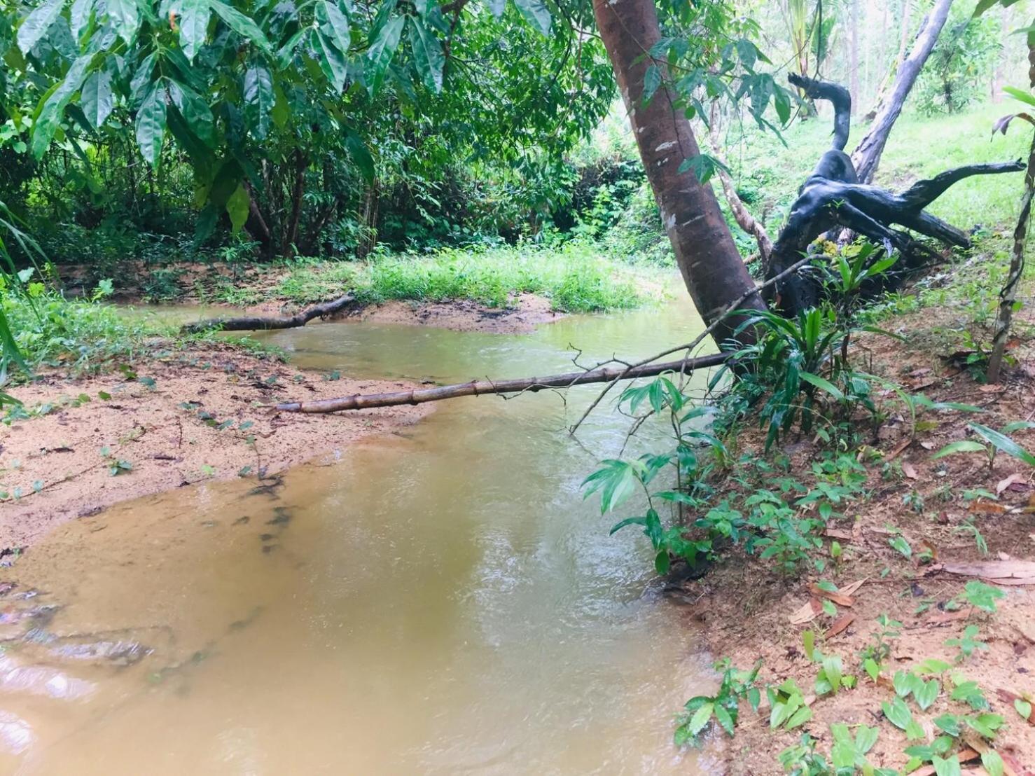 Estadia no rancho Baansuan Suksangob Farm
