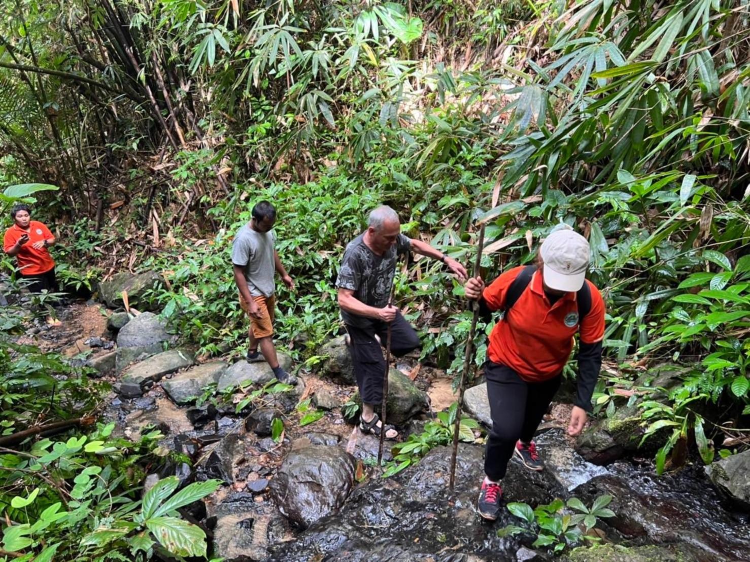 Khaosok Rainforest 3*