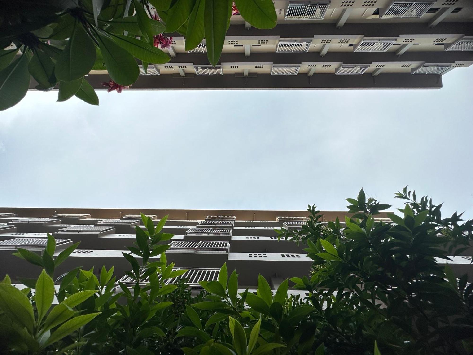 Mangrove Prestige 5*
