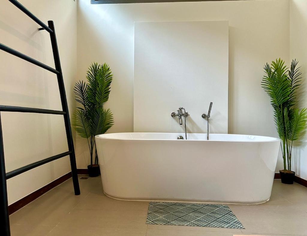 Villa Villa Luma The Best Modern Tropical Escape