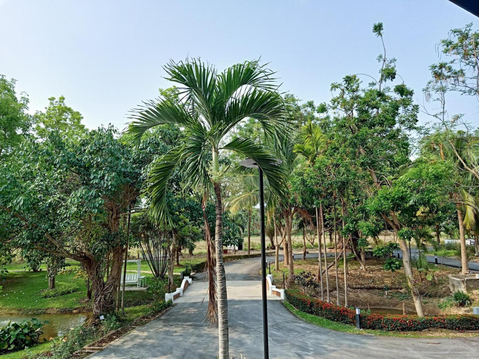 Bluesky And Resort *