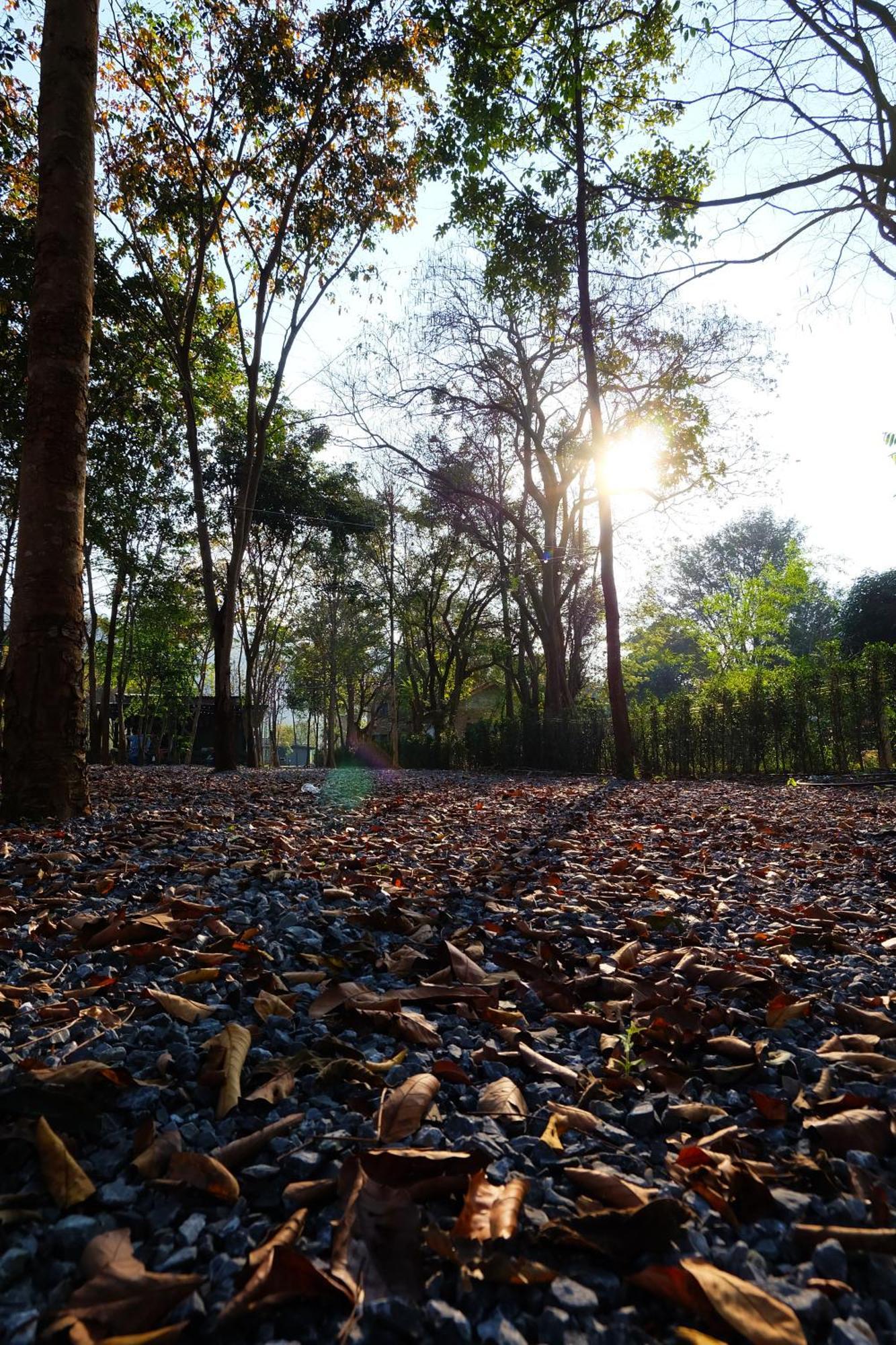 Resort The Wild Khao Yai Klang Dong