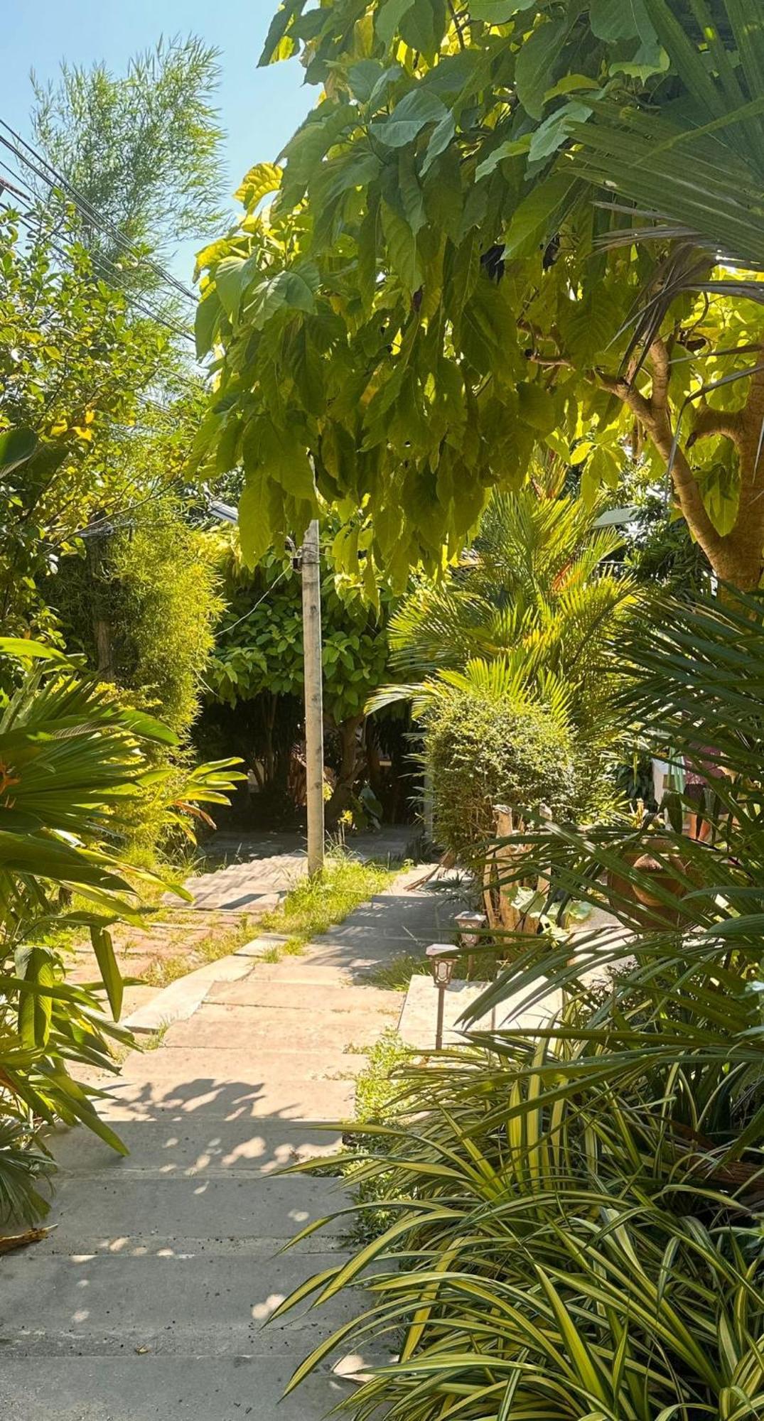 Resort Les D'electra *