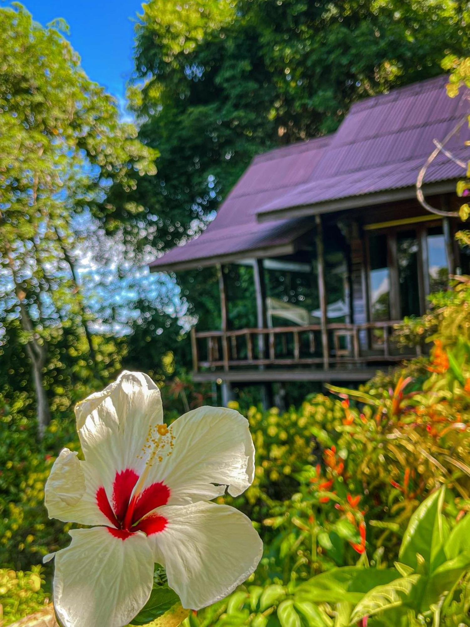 Hillhouse - Bed & Breakfast *