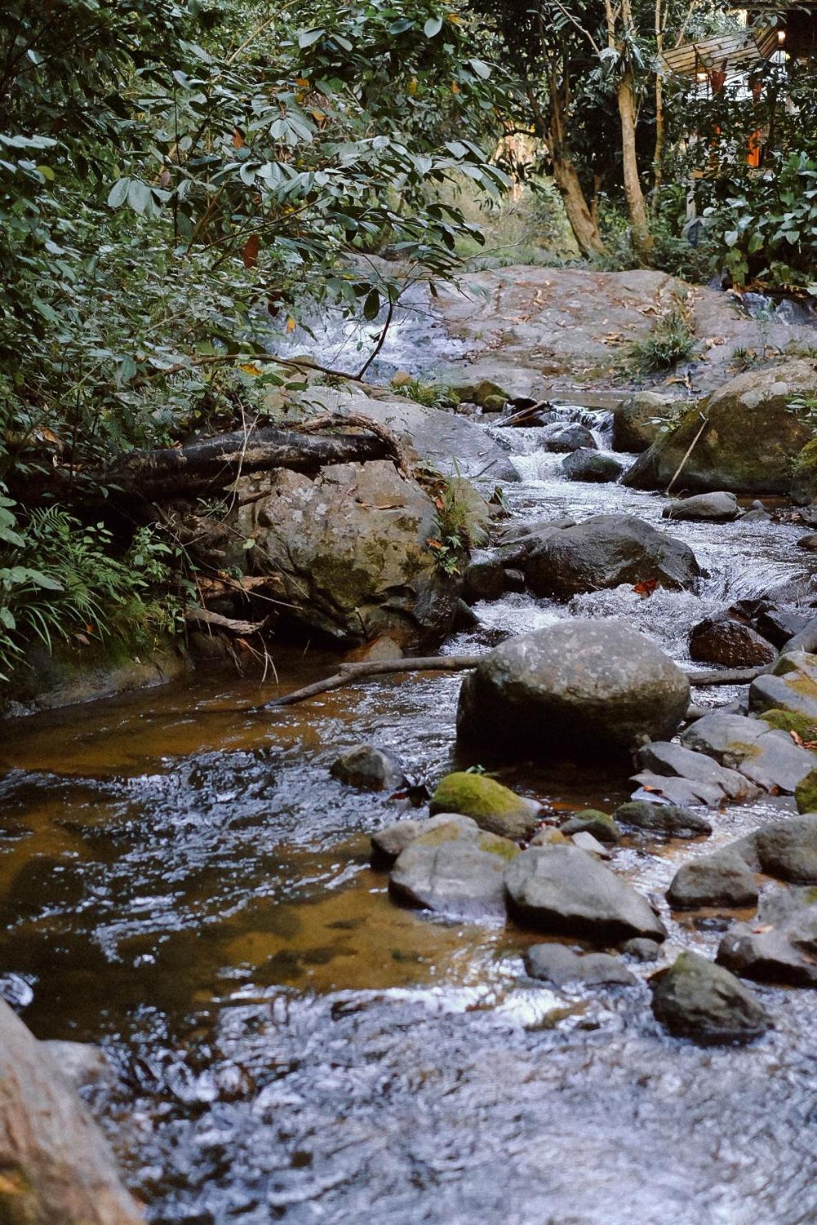 Guest house Bee Forest Ban Pok Nai