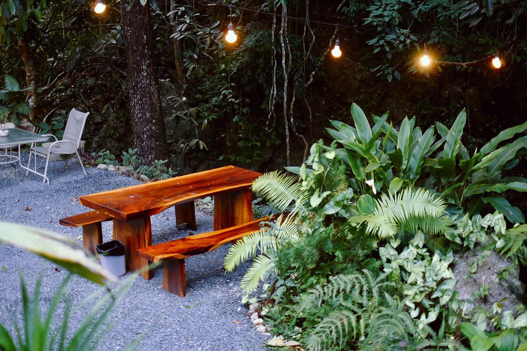 Bee Forest Guest house