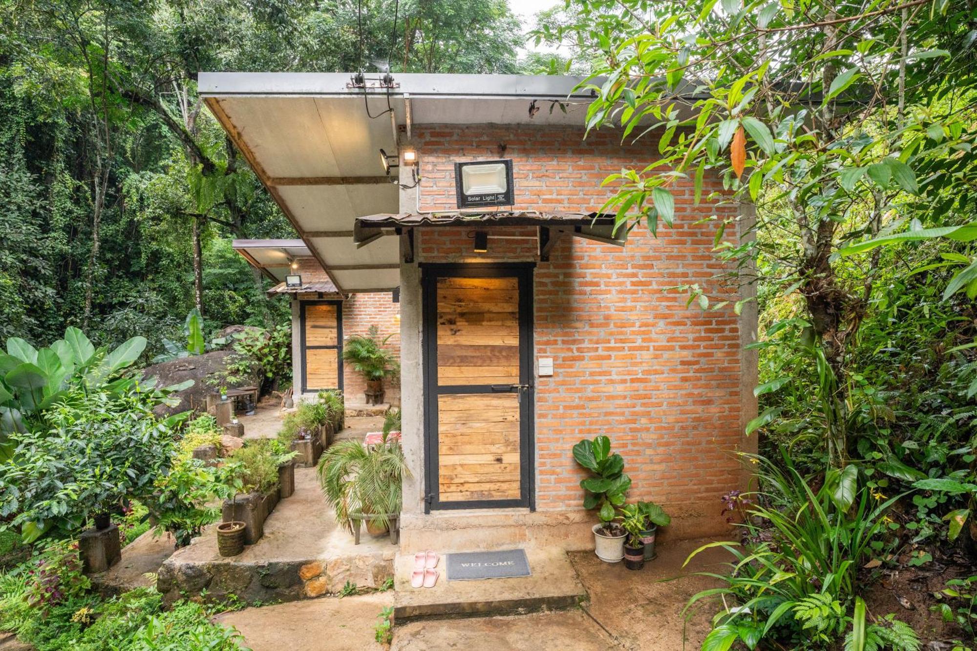 Bee Forest Guest house *