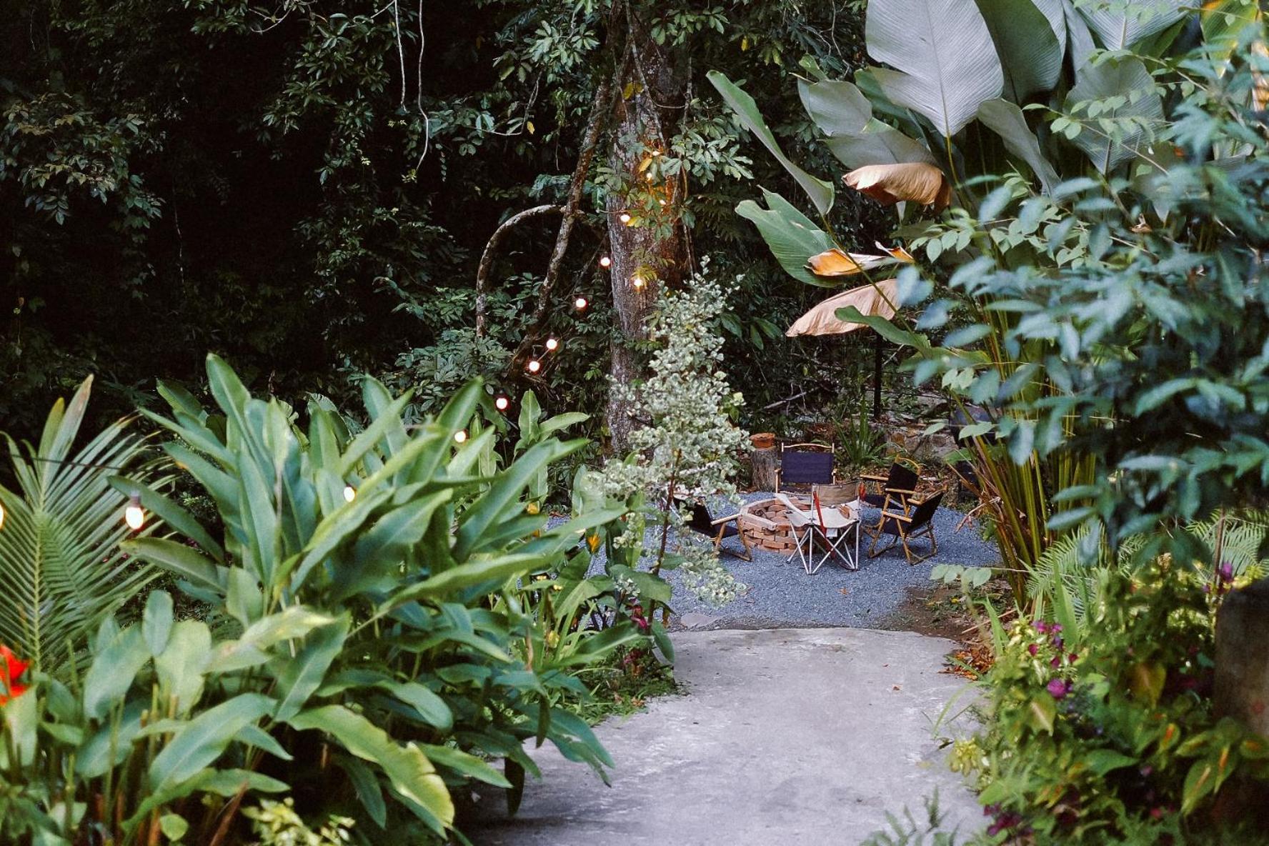 Bee Forest Guest house *