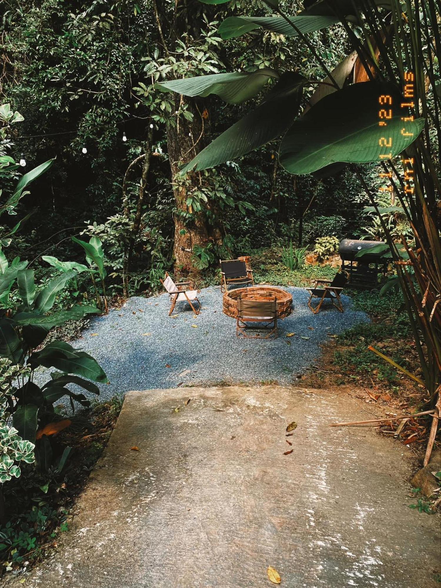 Bee Forest