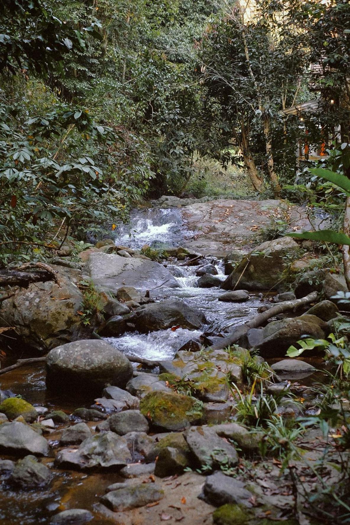 Guest house Bee Forest