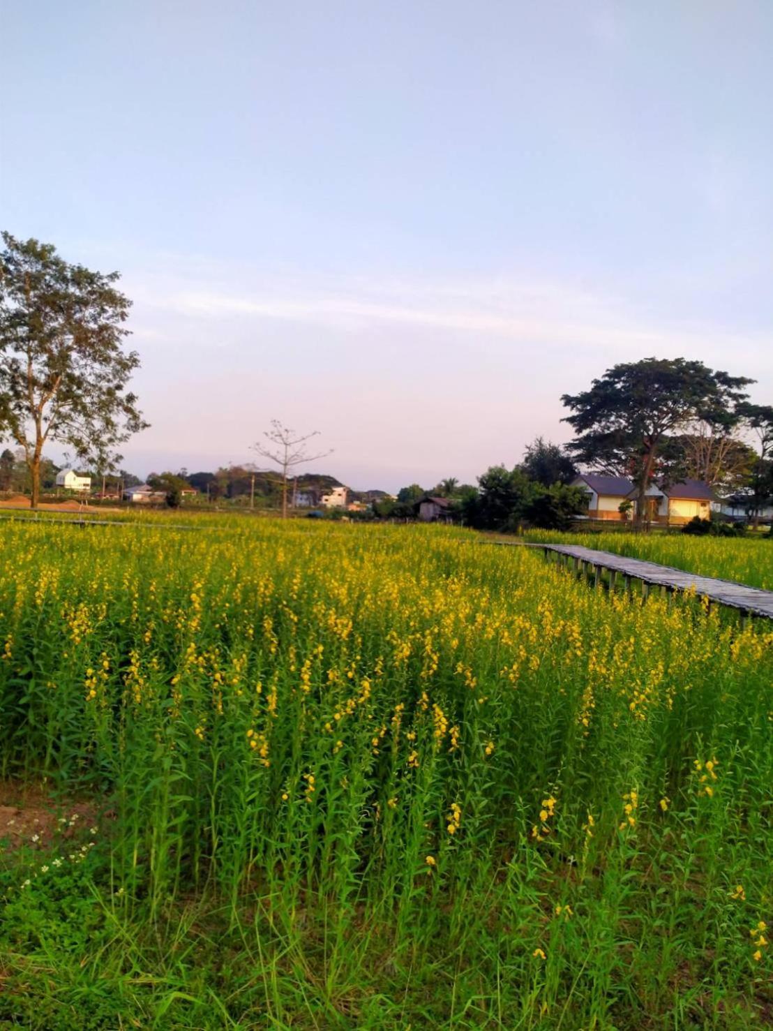 Sasidara 3*