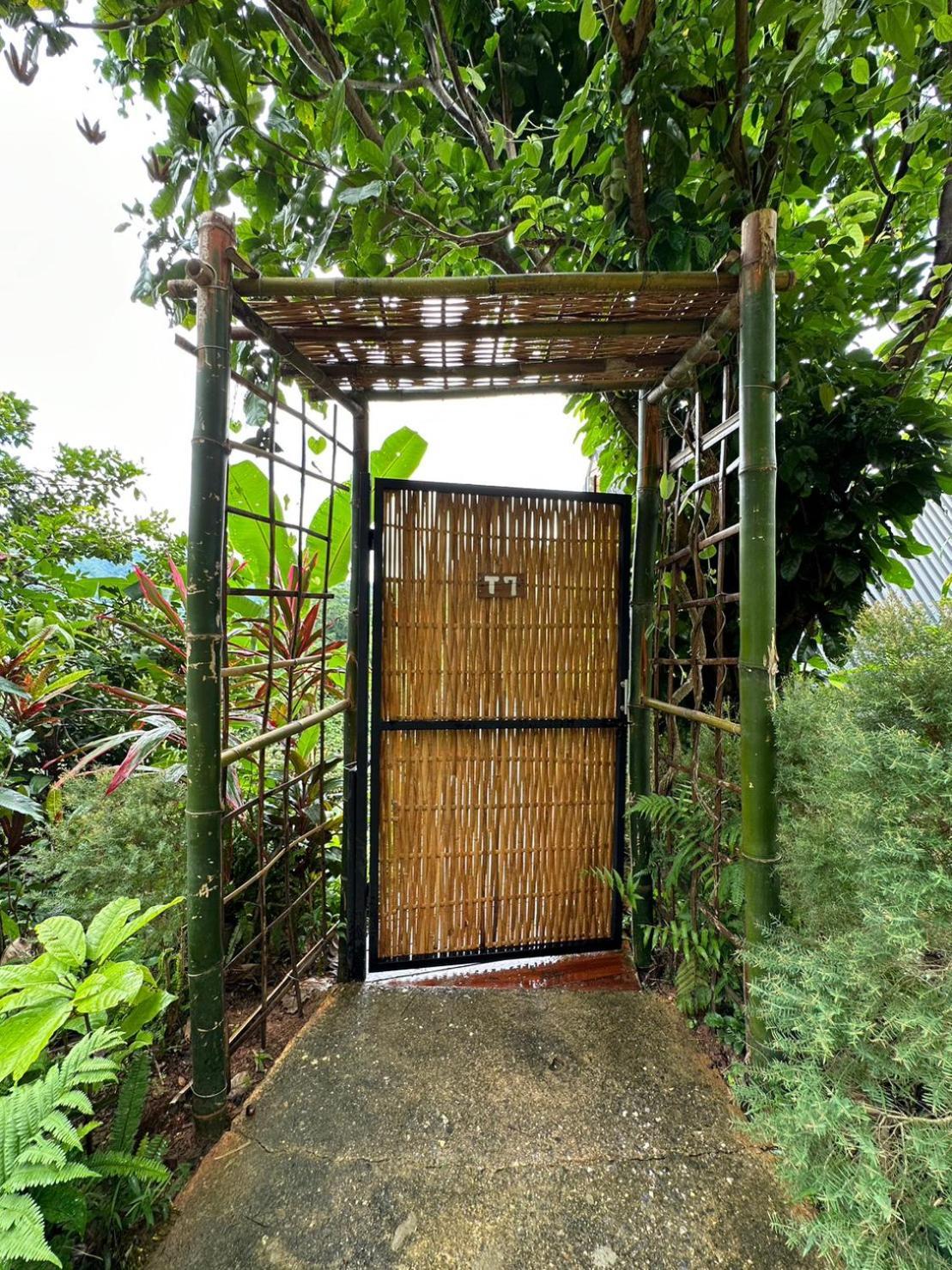 Camp Mai Mee Chue Campsite Pong Yaeng