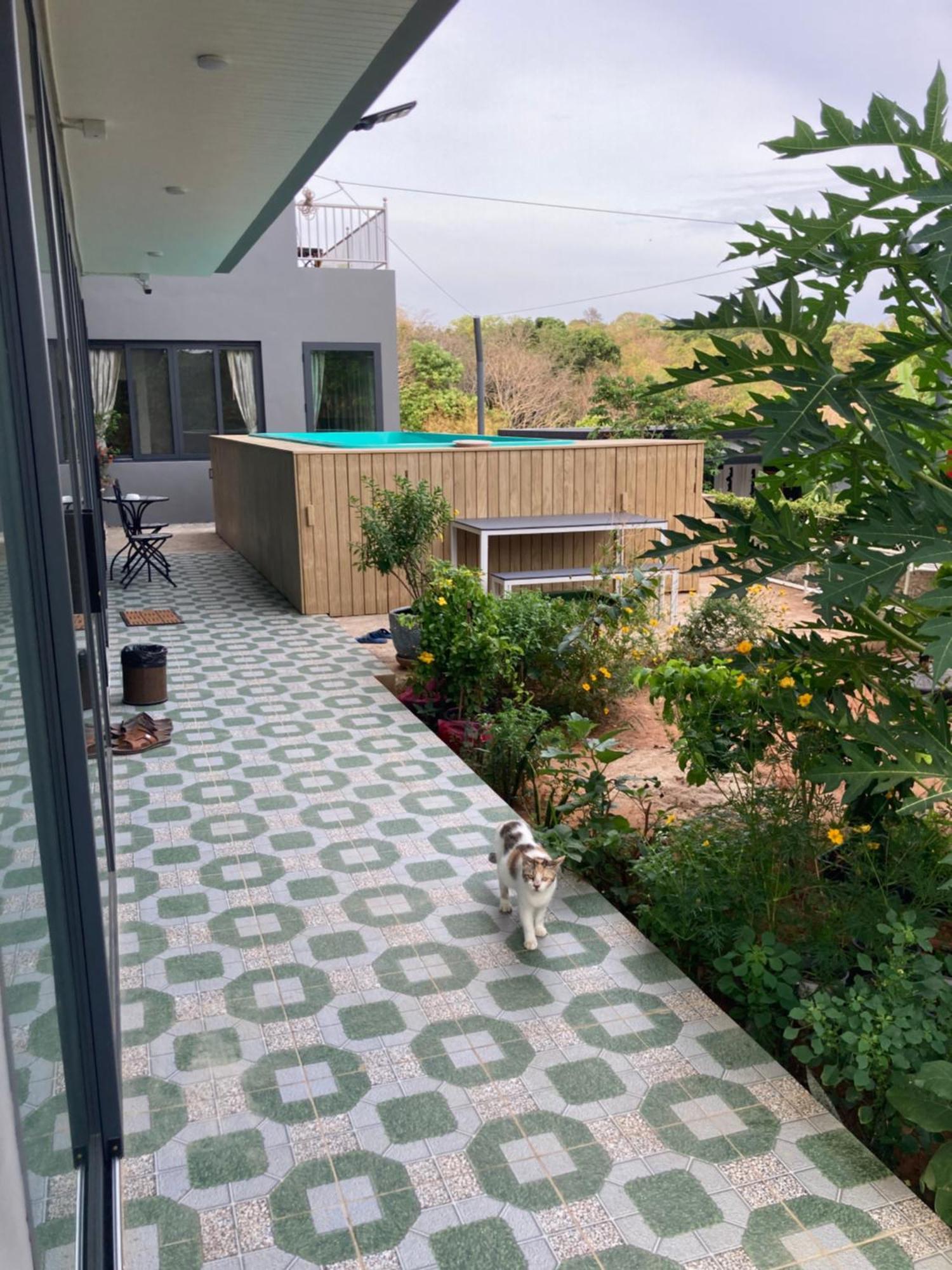 Seaview Eagles Nest Apartamento