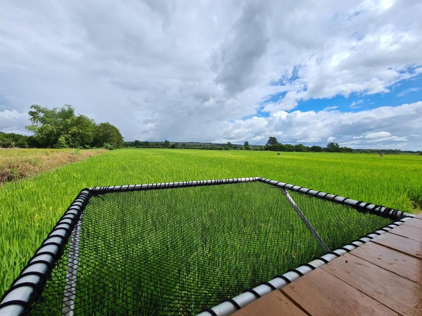 Farm stay Ha Me Garden ฮามีการ์เด้น โฮมสเตย์ฝาง