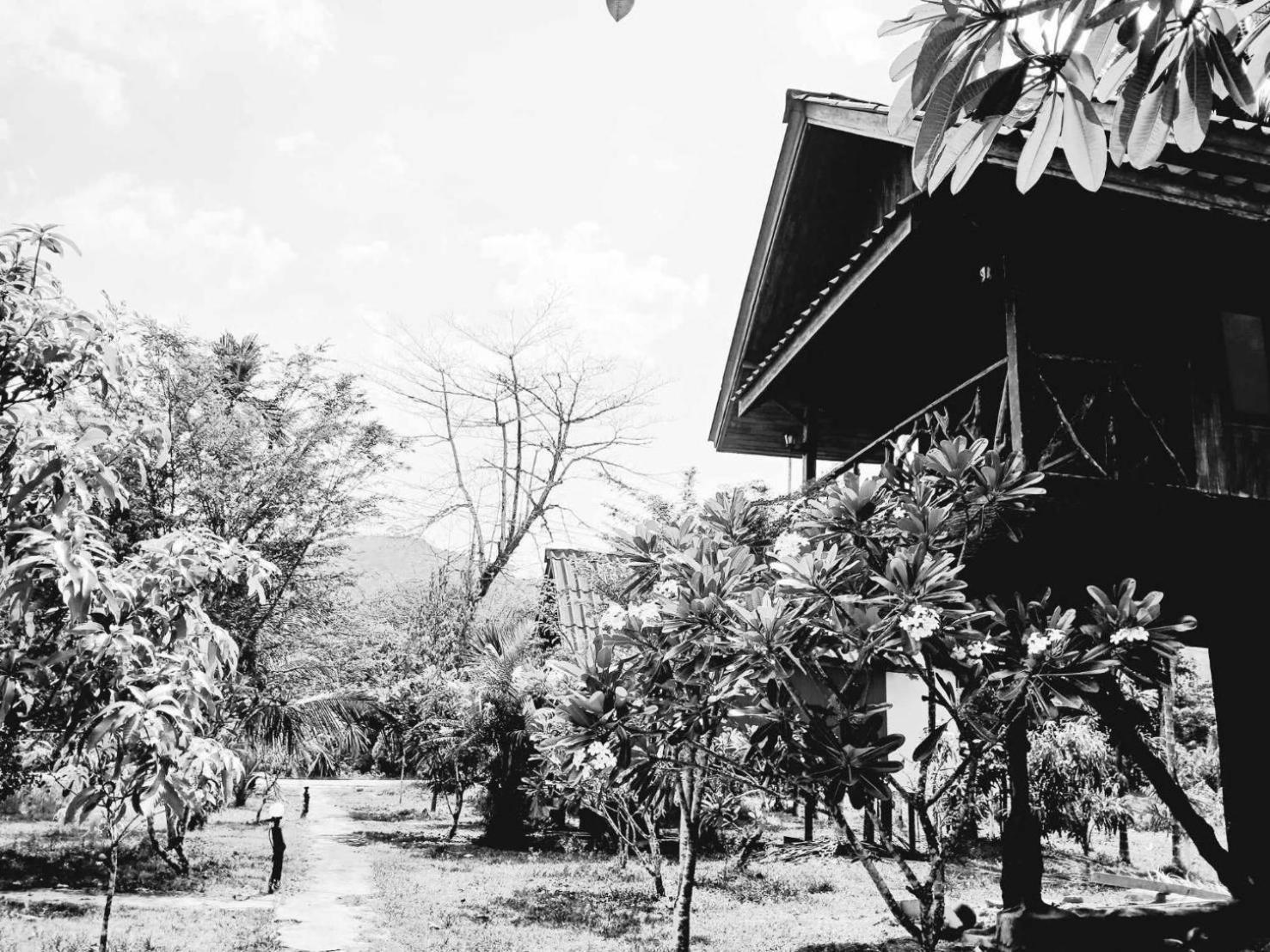 Bamboo House Holiday park