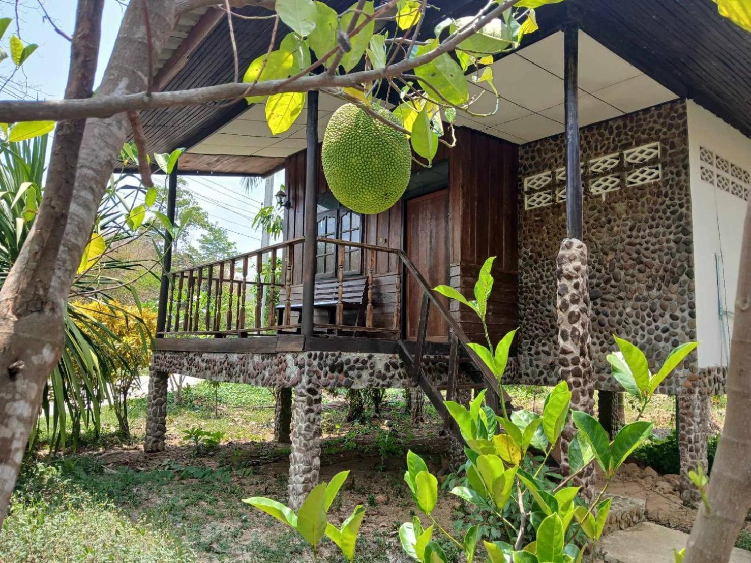 Bamboo House 2* Khao Sok National Park