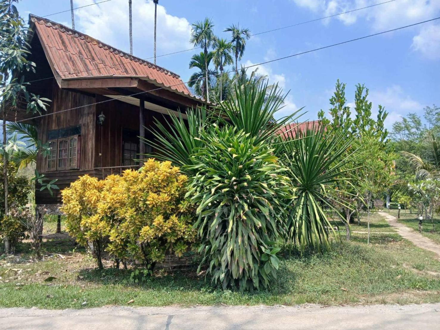 Holiday park Bamboo House Khao Sok National Park