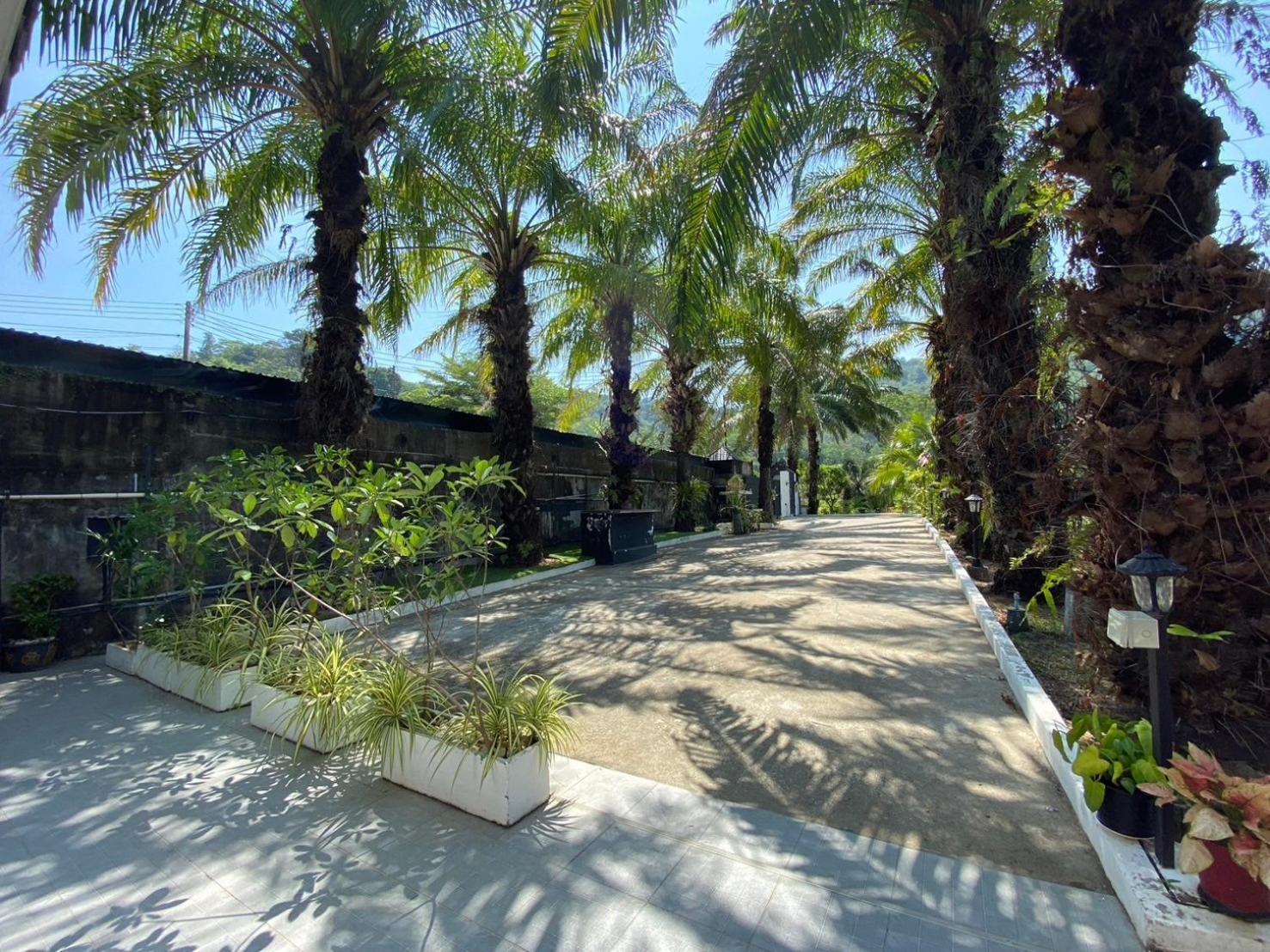 - Nap Dau - 10 Bedroom Private Pool - Phuket *