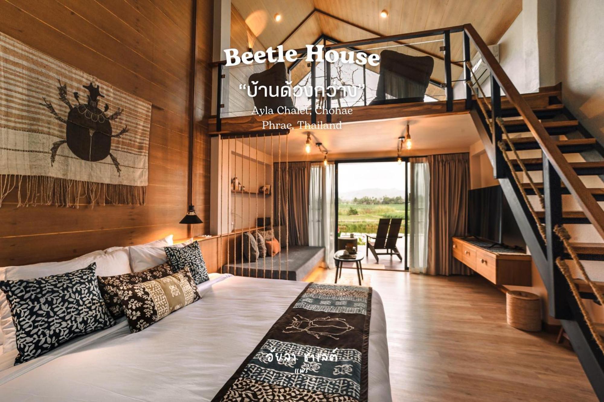 Homestay Ayla